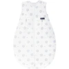 Bellybutton By Alvi® Kugelschlafsack-Mäxchen - Light, Löwe Blau -Geschäft Für Babyschlafsackzubehör bellybutton by alvi kugelschlafsack maexchen light loewe blau a288335